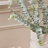 Dusty Eucalyptus Stem [MUSHDUSESW26]