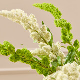 Millet Stem [MUSHMILSTW26]