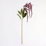 Hanging Millet Stem [MUSHHANMSW26]