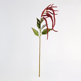 Hanging Millet Stem [MUSHHANMSW26]