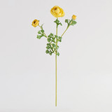 Wild Ranunculus Stem [MUSHWILRSW26]