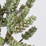 Artificial Sedum Burrito Succulent Branch [MUSHSEDBW26]