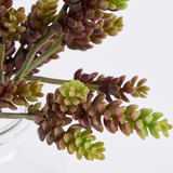Artificial Sedum Burrito Succulent Branch [MUSHSEDBW26]