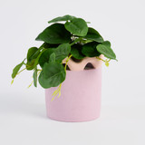 Maddi Wave Planter [MUSHMADPW26]