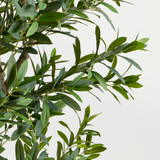 Artificial Olive Grove Tree [MUSHOLIGTW26]