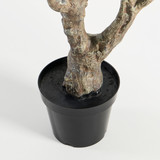 Artificial Olive Grove Tree [MUSHOLIGTW26]