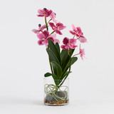 Lola Artificial Vanda Orchid in Vase [MUSHLOVLOW26]