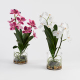 Lola Artificial Vanda Orchid in Vase [MUSHLOVLOW26]