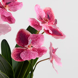 Lola Artificial Vanda Orchid in Vase [MUSHLOVLOW26]
