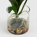 Lola Artificial Vanda Orchid in Vase [MUSHLOVLOW26]