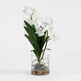 Lola Artificial Vanda Orchid in Vase in White by MUSE | Large - Pillow Talk