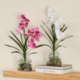 Lola Artificial Vanda Orchid in Vase in DarkPink, White by MUSE | Large - Pillow Talk