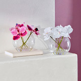 Lola Artificial Vanda Orchid Bouquet in Vase in DarkPink, White by MUSE | Pillow Talk