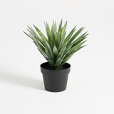 Sisal Small Artificial Yucca Plant [MUSHSISPS25_DIS]