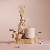 Cherry Blossom & Green Tea 250ml Diffuser [CFDCBGTMD26]