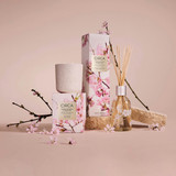 Cherry Blossom & Green Tea 250ml Diffuser [CFDCBGTMD26]