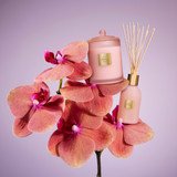 Radiance In Bloom 250ml Diffuser [GFDRIBMD26]