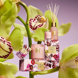 Radiance In Bloom 60g Candle [GF6CRIBMD26]