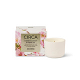 Cherry Blossom & Green Tea 70g Candle in GreenTea by Circa | Pillow Talk