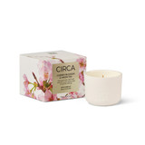 Cherry Blossom & Green Tea 70g Candle [CF7CCBGTMD26]