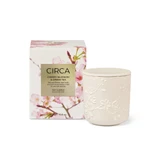 Cherry Blossom & Green Tea 300g Candle in GreenTea by Circa | Pillow Talk