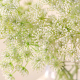 Artificial Queen Anne's Lace Single Bouquet [MUSHQUESBW26]