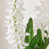 Carla Artificial Vanda Orchid in Vase [MUSHCAROVS26]