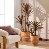 Burgundy Yucca Plant in Burgundy by MUSE | Large, Small - Pillow Talk