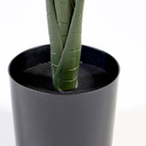 Green Areca Palm [MUSHGREAPS26]