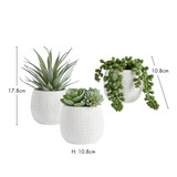 Avalon Jelly Bean Artificial Potted Succulent [MUSHALAPS24B]