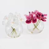 Lola Pink Artificial Vanda Orchid Bouquet in Vase [MUSHLOLOW26A]