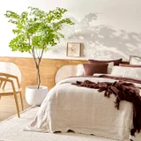 Artificial African Birch Tree in Green by MUSE | Pillow Talk