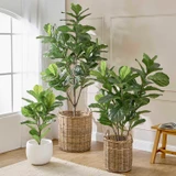 Grand Fiddle Tree in Green,   by MUSE | Small, Medium, Large - Pillow Talk