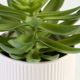 Jett Artificial Potted Succulent [MUSHJETSS26B]