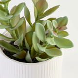 Jett Artificial Crassula Potted Succulent [MUSHJETSS26A]