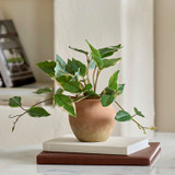 Dallas Artificial Hoya Potted Succulent in Hoya by MUSE | Pillow Talk