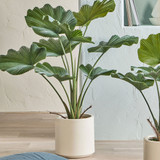 Artificial Potted Small Fan Palm [MUSHPOTFPW26_DISSML]