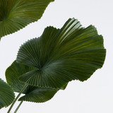Artificial Potted Small Fan Palm [MUSHPOTFPW26_DISSML]