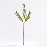 Artificial Budded Eucalyptus Stem [MUSHBUDESS26]
