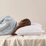 Classic Collection 2 pack Standard Pillow [ESSBCSTDPP26]