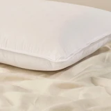 Classic Collection 2 pack Standard Pillow [ESSBCSTDPP26]