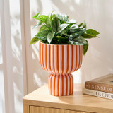 Stevie Stripe Planter [MUSHSTEPS26]