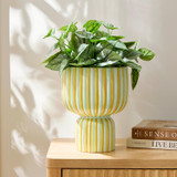 Stevie Stripe Planter [MUSHSTEPS26]