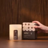 Alive Body Vanilla Cream & Tonka Bean Soy Candle [ALIVANC26]