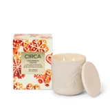 Gingerbread Cookies 300g Candle [CF3CGCS26]