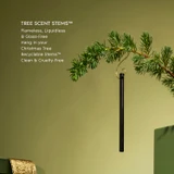 Winter Wonderland 10 Tree Scent Stems [GF10TSSWWS26]