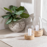 Hastings Hurricane Natural Candle Holder [ASPLHASTI14A]