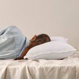 Ultra Loft Microfibre Medium Pillow [HILBLUXUR09]