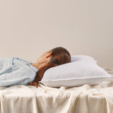 Classic Collection Standard Pillow [PTBCCSTDP16]