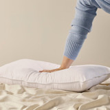 Classic Collection Standard Pillow [PTBCCSTDP16]